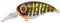 Spro Fat Iris 60 Crank CR Wobbler 6,0cm - 18g - Slow Floating (Nort. Pike)