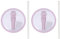 Lot De 2 Couvercles De Rechange Compatibles Avec STA_NLEY Cup,couvercle STA_NLEY Cup Etanche,40 Oz STA_NLEY Tumbler Lid Replacement Réutilisables, Anti-fuite Et Anti-poussière, Avec Paille