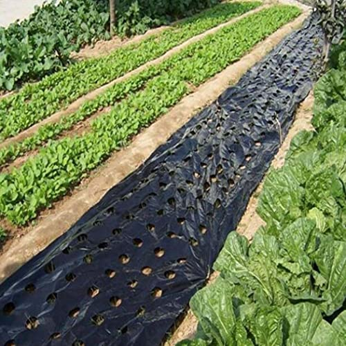 SouiWuzi Schwarzer Gummi -Mulch 5 Löcher schwarzer Plastikmulch Film für landwirtschaftliche Gemüsefilm Pflanze Plastikfilm Perforated Pe Film für Gartenpflanze Mulch Membran intensiv 3x33 ft