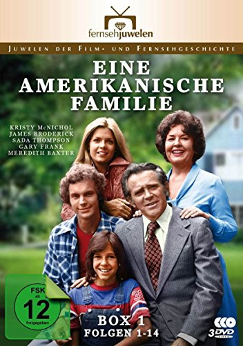 Eine amerikanische Familie - Box 1/Folgen 1-14 [4 DVDs]