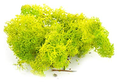 War World Scenics Hellgrüne Lichen Modell Moos 60g - Flechte Laub Modellbau Modellbahn Wargame Tabletop Gelände Landschaft Baum Busch Hecke Diorama Basing