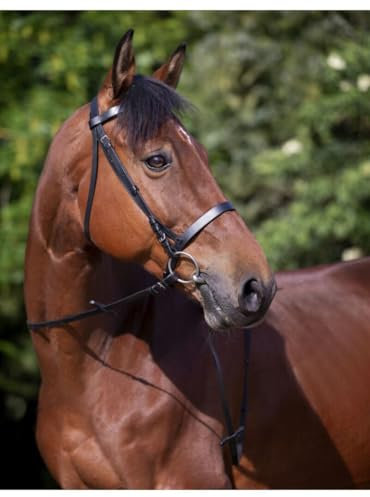 Riding World Trensenzaum Nasenriemen Französische Pony Schwarz