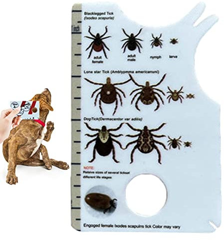 Fowybe Tick-Karte mit Lupe | Zeckenentferner für Hunde | Tragbare Tick-Karten mit Lupe für Sportbegeisterte, Reisende, Haustiere