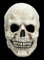 Totenkopf - Maske des Grauens aus Latex - Erwachsenen Horror Halloween Kostüm Vollmaske - ideal auch für Karneval, Motto- & Grusel-Party