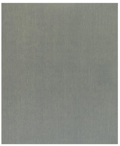 Bosch Professional 1x Sanding Sheet C355 (for Coatings and Composites, 230 x 280 mm, Grit 1200, Accessories for Hand Sanding)