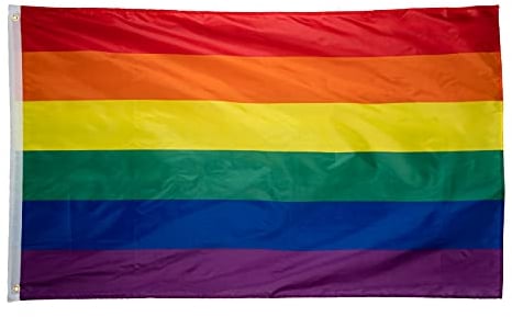 Storm&Lighthouse Bandera LGBTQ+ de Rainbow Gay Pride de 150cm x 90cm con ojales accesorios de orgullo pancarta de orgullo gay para desfiles de fiestas carnavales de festivales y celebraciones