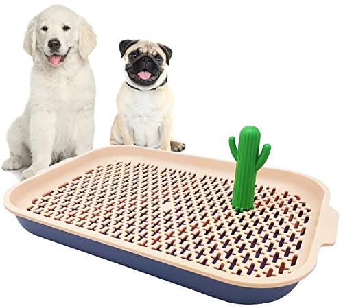 BPS BUENA PET SHOP Vassoio sanitario per cani, M, modello 2, in polipropilene, per cuccioli, cani anziani e convalescenti, 59,8 x 33,5 x 6 cm