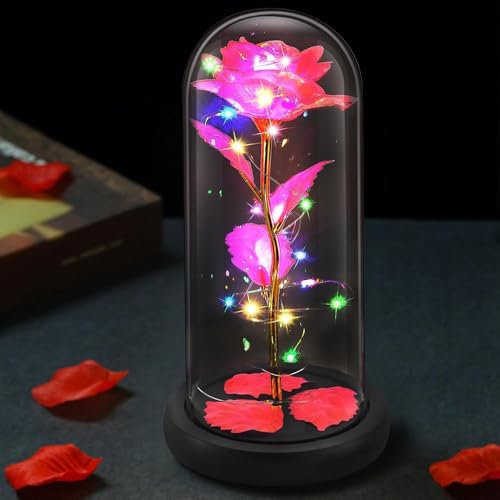 NLIGHTING® Rosa Eterna Galaxy Fucsia Regalo Festa della Mamma per Lei Fidanzata Moglie Rosa Infinita Incantata Kit la Bella e la Bestia in Campana di Vetro