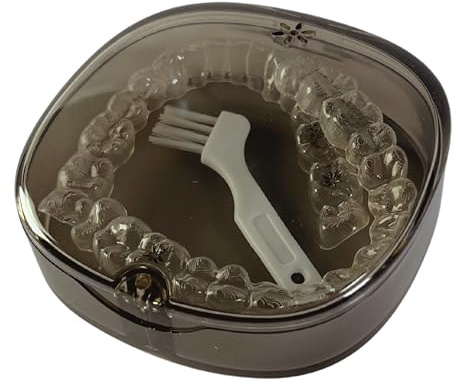 Roomy Transparent Aligner Case with Vent Holes, Brush, Magnetic Closure – Ideal for Invisalign, Retainers, Night Guards, Mouth Guards, and Dentures, Grey, Transparent