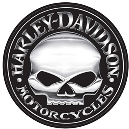 Harley-Davidson Decal, Silver Willie G Skull Logo, X-Large 29 Inch CG4331