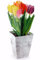 Pop-Up-Karte / 3 D-Faltkarte mit hübschen Krokussen - die ideale Grusskarte für den Frühling (Tulpen)