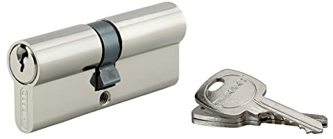 Cylindre de Serrure Profilé STD 35x40mm - Système de Sécurité Double Entrée Laiton Finition Nickel - Usage Porte d'Entrée - Fabriqué en France - Livré avec 3 Clés Crantées - THIRARD