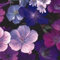 Geranium, Storchschnabel 10 Samen - Frosthart, schöner Mix - Eine der besten Sorten