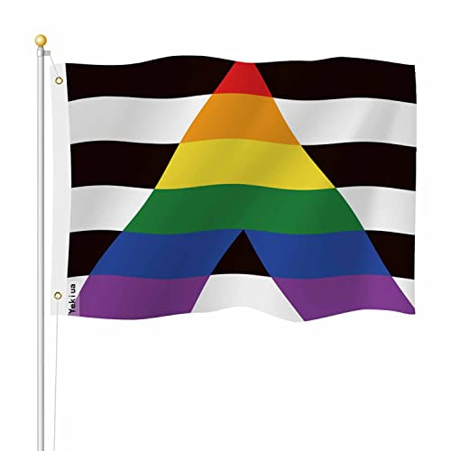 Yekiua Gay Straight Allies Flagge, 90 x 150 cm, LGBT, heterosexuelle Gemeinschaften, Pride, Mix, Schilder, UV-geschützt, Banner für drinnen und draußen, mit Messingösen, lebendige Farben