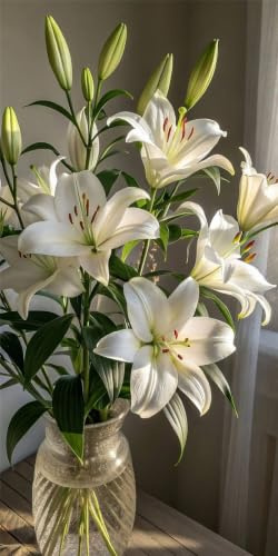lilien-Rhizom-Luxuriöses Präsent-Beschränkte Herstellung-Kreative Einzelgestaltung-Trendiger Look-2 Lilien Rhizom-J