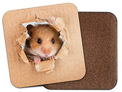 Funny Hamster Mouse Drinks Coaster - Rodent Kids Rat Gerbil Cool Mice Gift #8521