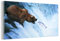 MuchoWow Glasbild Glasfoto Wandbild Bilder Deko 40x20 cm Bär - Fisch - Wasserfall