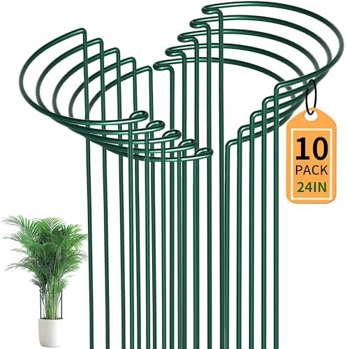 10 Stück Stabile Pflanzenstützen aus Metall (30cm Ø x 60cm H) – Extra Stark 5mm Rankhilfe mit – Ideal für Tomaten, Hortensien, Pfingstrosen, Gemüse – Rostfrei & Langlebig für Garten, Balkon