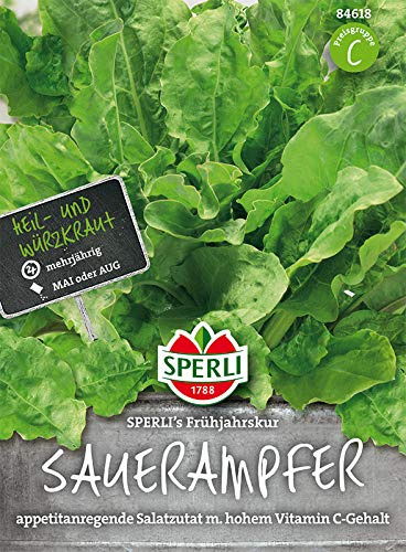 Sperli Sauerampfer 'Sperli´s Frühjahrskur' | mehrjährig | winterhart | Päckchen Samen