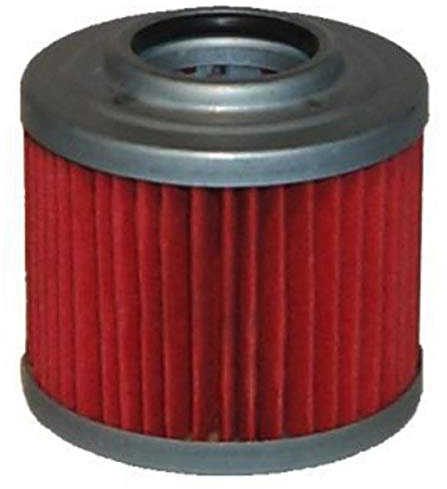 FILTRO OLIO PEGASO I.E. TUSCANY TIBET RAID 650 2004