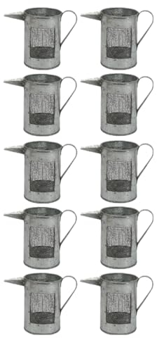 10 schöne verzinkte Gießkannen - dekorative kleine Gießkannen - Basteln und Heimdekoration (Silber, ca.11,5 x 6,2 x 8,4 cm) sehr schöne Dekoration zb fürs Blumenfenster