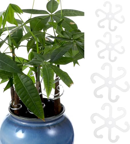 Ouligay 4PCS Plant Support Clips 2 Sizes Monstera Support Durable Plant Stabilizer, Transparent Acrylic Plant Supports for Indoor Plants Set