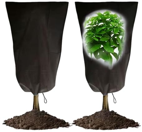2 Winterschutz für Pflanzen Frostschutz, 120x80cm Überwinterungszelt für Kübelpflanzen, Frostschutz Pflanzen Abdeckung, Pflanzenschutz Winter mit Reißverschluss, Reißfest und Atmungsaktiv (Schwarz)