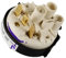 FIGEVIDA Pressostato Lavastoviglie per Candy 41030820