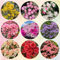 rhododendron pflanze samen, azalee samen - pflanzen samen steinpflanzen winterhart (Rhododendron) blumen garten pflanzen für draußen blumendeko flower seeds blumen deko 120pcs