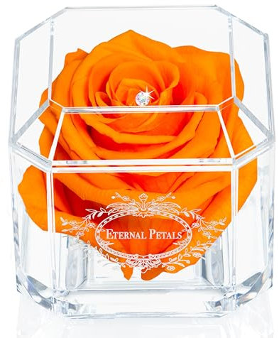 Eternal Petals A 100% Real Rose That Lasts A Year - The Perfect Unique Gift for Women and Men, A Birthday Gift - White Gold Solo with Multicolour Crystal (Orange)