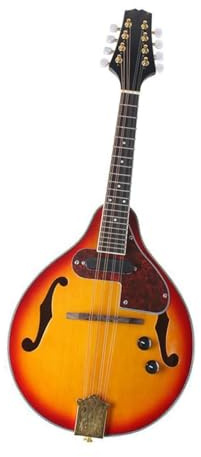 Professional Adult Mandolin Instrument Electric Mandolin 8-string Electric Mandolin String Instrument Professional Adult Performance Type