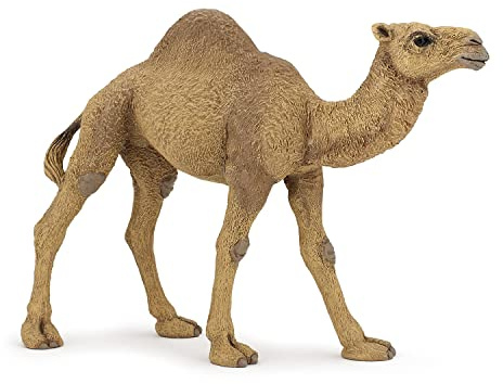 Papo Realistic Dromedary Figurine Toy, Wild Life Collection, Kids Ages 3+ | A hump suited to the hot desert | hand-painted | a piece to collect | a truly original gift idea for girls and boys too