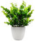 OFFIDIX Mini Plastique Eucalyptus Plantes artificielles avec Vase pour Bureau, Maison et Ses Amis 'Cadeau Faux Plante avec Pots en Plastique pour décoration de la Maison (Grande Taille)