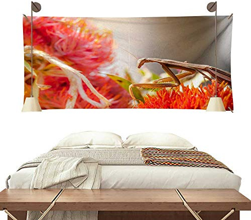 Meat & Doria 89206R Flimmerkörper