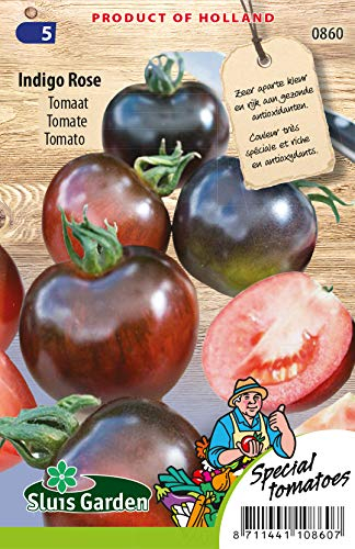 Tomaten Indigo Rose Gemüsesamen pro Gramm - Schwarz wie eine Aubergine - Samen pro Gramm: +/-17