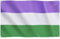 Runesol Bandera del Orgullo del Género Queer, 91x152cm, 3ft x 5ft, 4 Ojales, Ojal en Cada Esquina, Bandera del orgullo Gay, Bandera LGBT+, Banderas Premium, Interior, Exterior, Colores Vivos