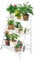 Fioriera a Scala Bianca, Scaffale per Piante in Legno Portapiante Pieghevole a 3 Ripiani Portavasi da Interno Portafiori da Esterno per Balcone Giardino e Terrazzo 70 x 40 x 96 cm