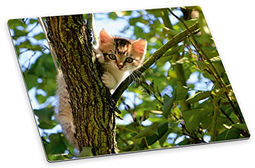 itenga Schreibtischunterlage Katze abwischbar rutschfest glatt Kunststoff