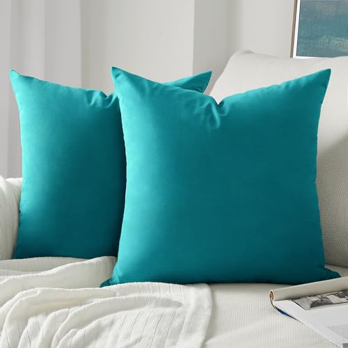 Topfinel Kissenbezug 45x45 cm Türkis Blau 2er Set Samt Kissenbezüge Kissenhülle Sofakissen Dekokissen Couchkissen Zierkissen Deko für Sofa Bett Wohnzimmer Schlafzimmer