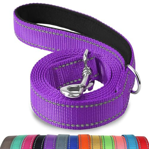 Joytale Padded Handle Dog Lead, Double-Sided Reflective Nylon Leads for Training, Walking Leash for Small, Medium Dogs, 1.2m × 2cm, Purple