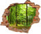 WCB Wandtattoo - Wanddurchbruch mit Aussicht Wald 90 x 74 cm Wandsticker