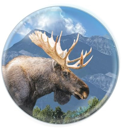 Deluxebase Magnidome Kühlschrankmagnet Elch aus Kristallglas für Kinder Hervorragende gewölbte Magnete für Heimdekorationen und Zubehör