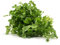 semi di crescione biologici - Serie Piante Rare - piante da giardino pianta perenne resistente tappezzante semi di esotiche resistenti in vaso vaso per balcone serra erbe 100pcs