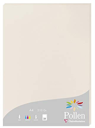 Clairefontaine 24268C Packung mit 25 Karten Pollen 210g, DIN A4, 21 x 29,7cm, Grau