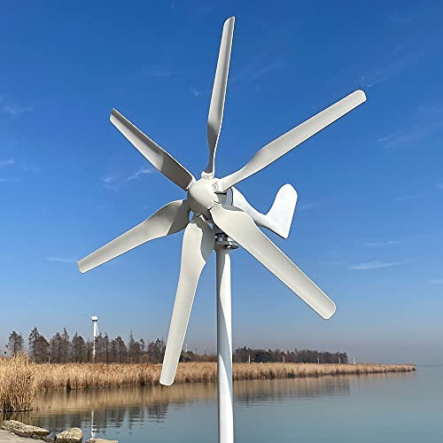 Rewindagic 800W Turbina eolica 12V 24V 48V generador de viento de energía libre para el hogar granja lámparas de calle 6 palas Molino de viento (12V con controlador MPPT)