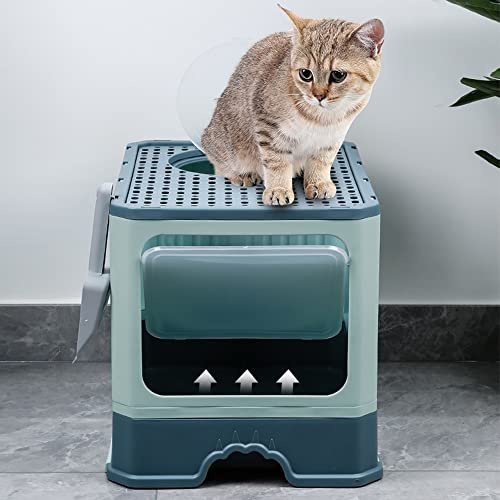 Bac à Litière Fermé pour Chat, Maison de Toilette, Plateau Amovible, Pelle, Brosse, pour Grand Chat, Capacité de Charge 15 kg,Anti-fuites 50 * 35 * 38CM-Vert foncé