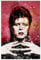 Puzzle 1000 Teile Erwachsene und Kinder Rapper David Bowie Holz Puzzles Stress Freisetzung Spiel 1000 Piece 29.5x19.6inch(75x50cm) Kein Rahmen
