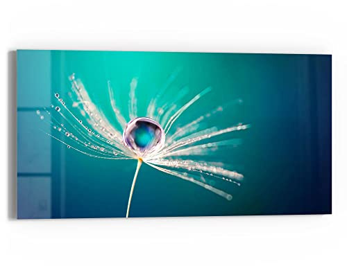 DEQORI Glasbild Echtglas | Motiv Samen mit Wassertropfen | horizontal einteilig 60x30 cm | schöne Dekoration | Wandbild für Wohnzimmer, Schlafzimmer, Flur & Küche | moderne Wanddeko