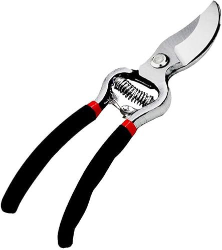 SQUADO Cesoie da Potatura Professionali da Giardino, 10, Manici Ergonomici, Forbici per Giardinaggio 250 mm