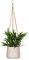 Finestgreen Hängendes Pflanzgefäß Patt Grau | Hängender Blumentopf zum bepflanzen | Urban Gardening Pflanzenampel Pottery Pots